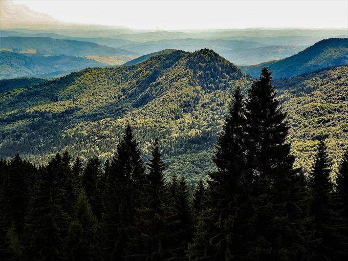 Gozdovi v vzhodnem delu Karpatov, tretje najdaljše evropske gorske verige. Razprostira se skozi srednjo in vzhodno Evropo. Gorovje je dolgo približno 1.500 kilometrov. | Foto: Gregor Pavšič