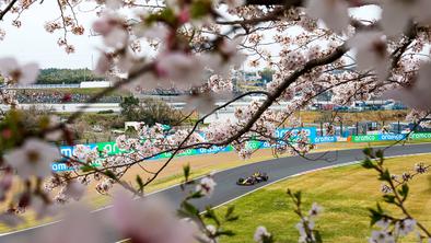 Red Bull na Japonskem kot cvetoče češnje