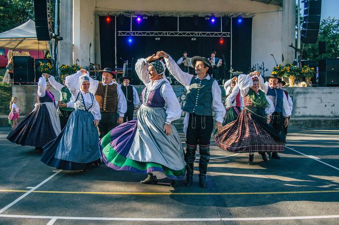 Območna razvojna agencija Krasa in Brkinov | Foto: 