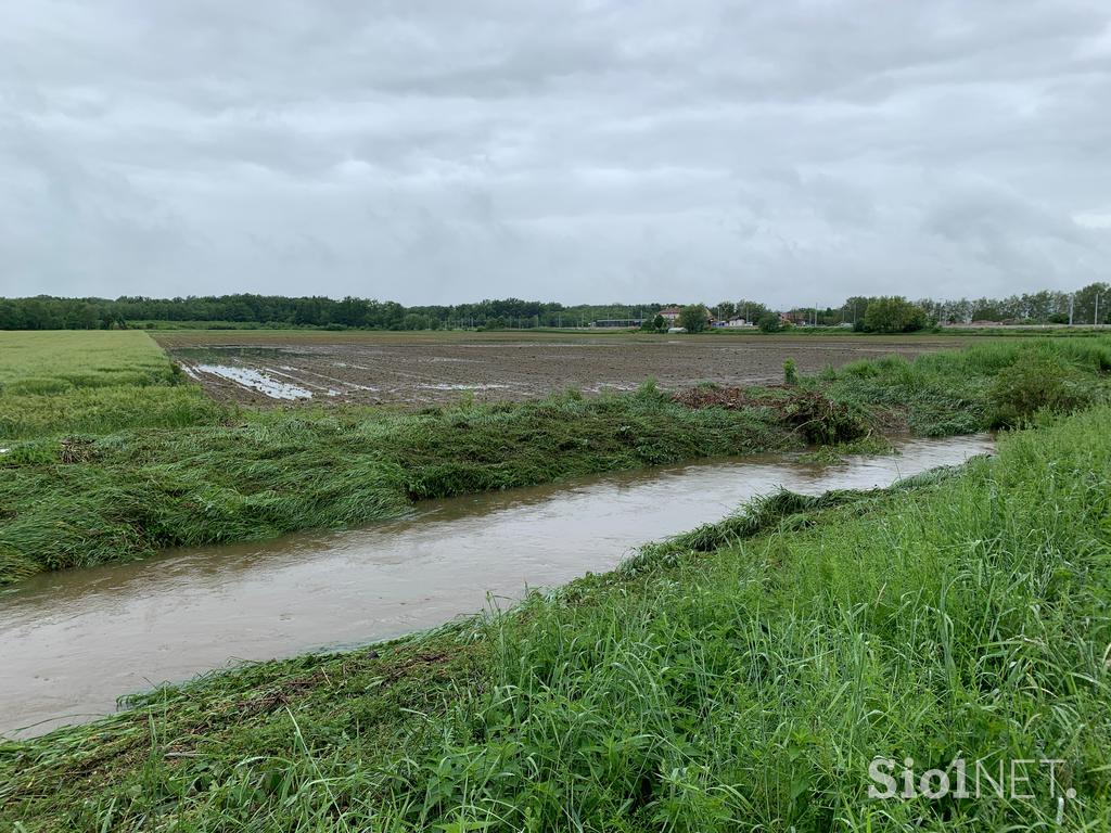 Slovenska Bistrica poplave njive