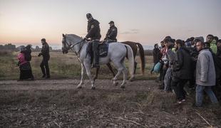 Koprski policisti prijeli 26 nezakonitih migrantov