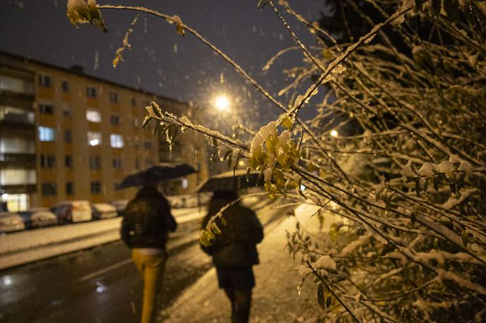 sneg | Kot so pojasnili na agenciji za okolje (Arso), nas je v soboto po pestrem vremenskem dogajanju popoldne od severa prešla hladna vremenska fronta. Meja sneženja se je hitro spuščala in se v večjem delu države spustila do nižin. Na Kredarici je po njihovih navedbah v zadnjih dveh dneh zapadlo skoraj meter in pol novega snega. | Foto STA