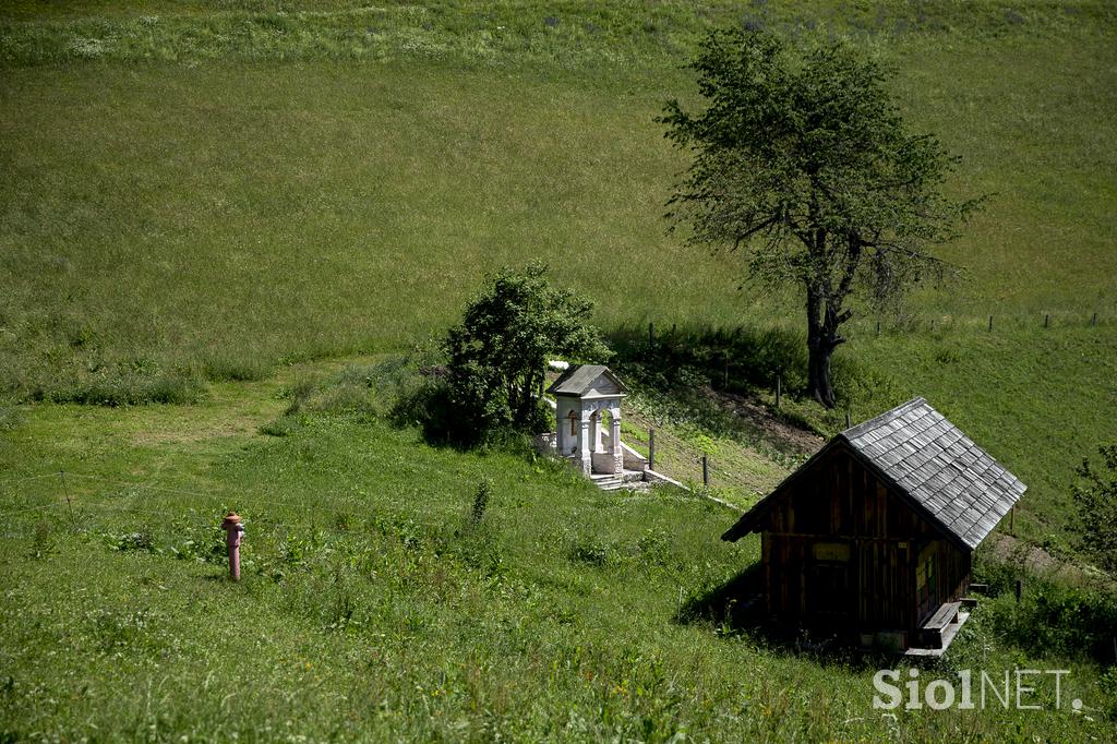 Izletniška kmetija Klemenšek Logarska dolina