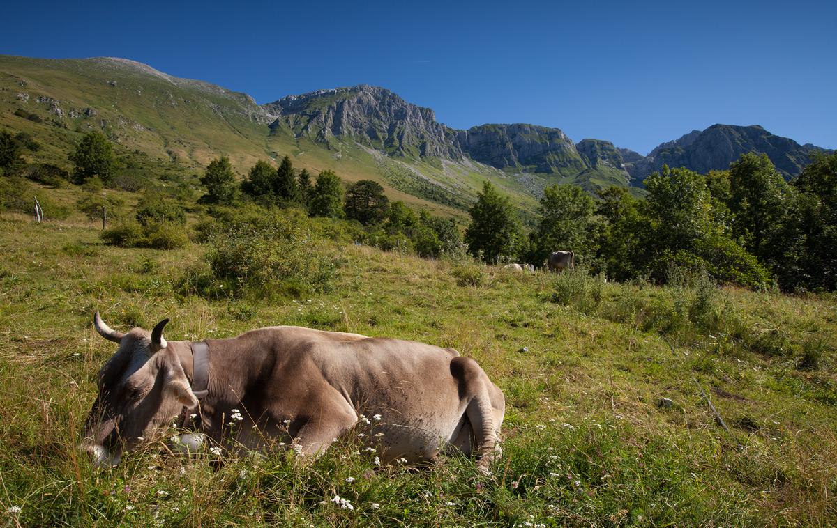 planina, dolina Soče | Foto Boris Pretnar (www.slovenia.info)