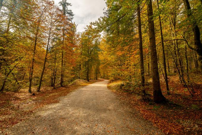 Dolina Vrata, foto Aleš Krivec_1200 | Foto: Aleš Krivec / Turizem Kranjska Gora