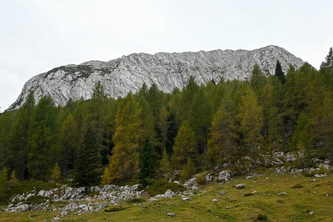 Pogled na greben Zermule z izhodišča na prelazu Lonice. | Foto: Matej Podgoršek