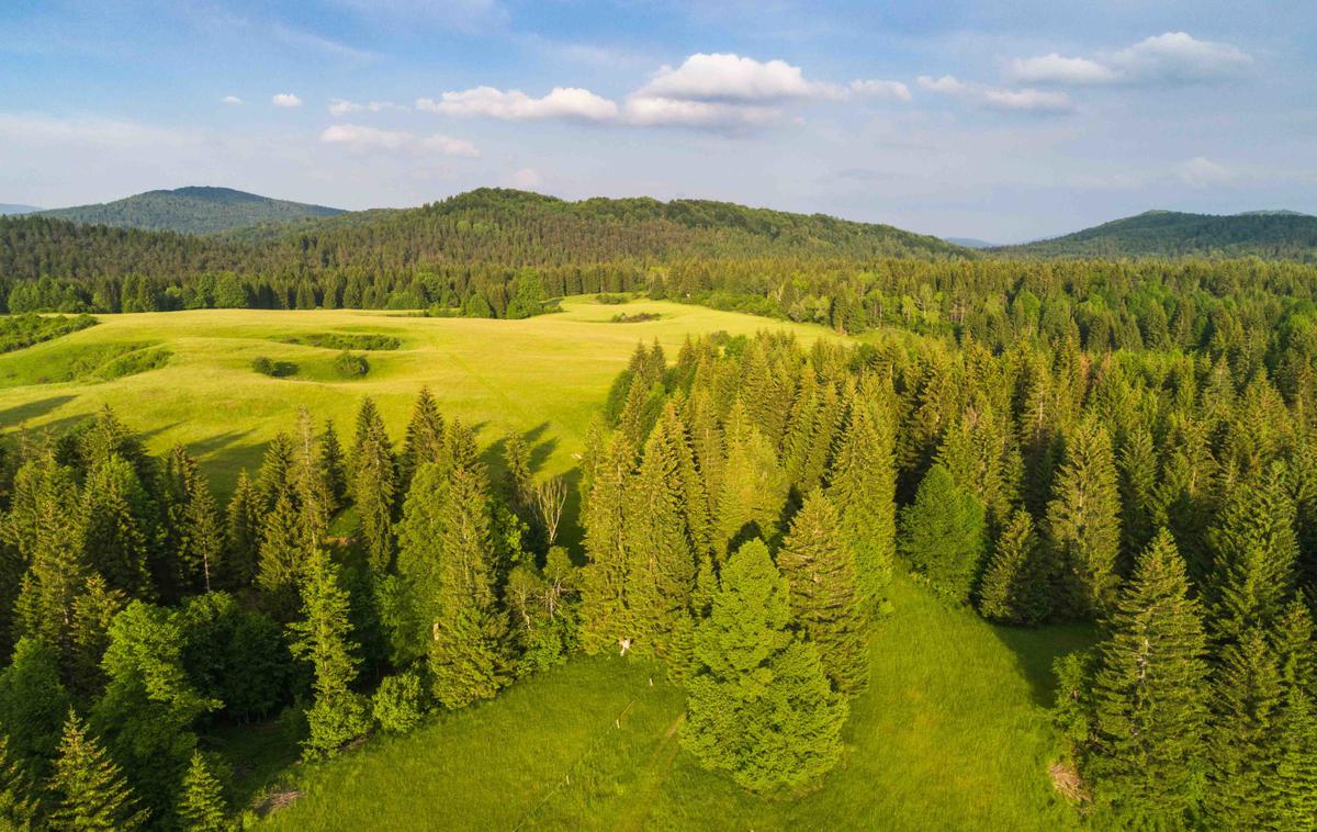 Kočevsko | Obiščite Kočevsko in odkrijte številne naravne bisere. | Foto Jošt Gantar