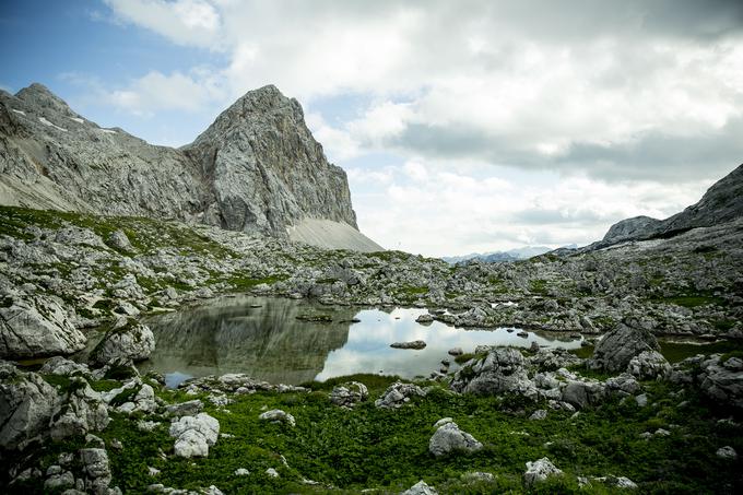 Pot na Zasavsko kočo na Prehodavcih (Prehodavci) | Foto: Ana Kovač