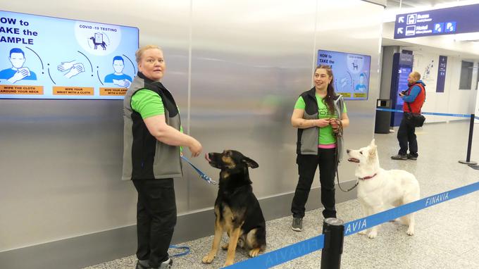 Sodelujoče pse so usposobili strokovnjaki organizacije Wise Nose v sodelovanju s helsinško veterinarsko fakulteto.  | Foto: Reuters