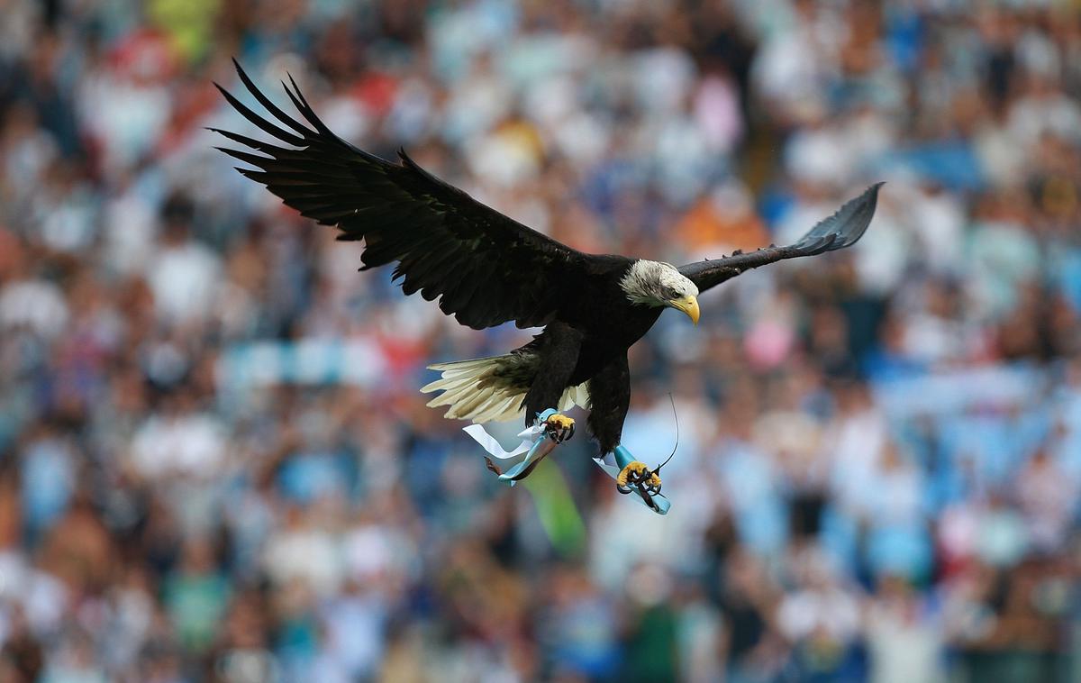 Lazio, orel | Orel je zaščitni znak Lazia, ki ga pred tekmami v Rimu v zrak pošljejo pred začetkom vsake tekme nebeško modrih. | Foto Reuters