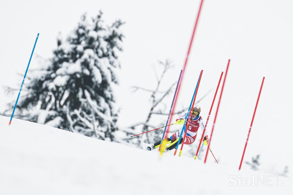 Zlata lisica, slalom