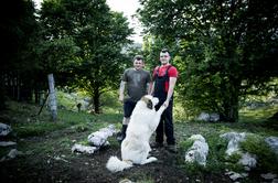 Družinska kmetija, ki že od nekdaj živi med medvedi in volkovi #video