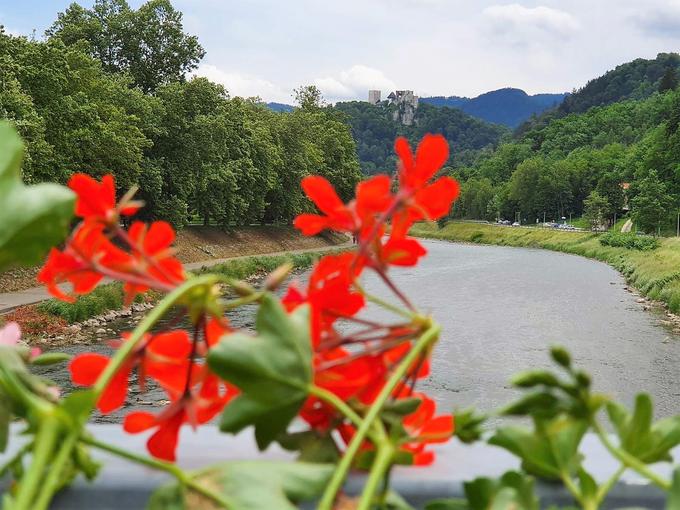 Pogled na Stari grad z ocvetličenega mostu čez Savinjo na Čopovi ulici. | Foto: 