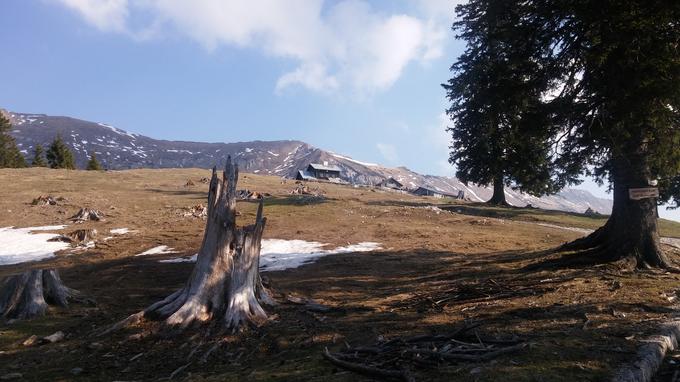 Dom na Kofcah vabi na štruklje. | Foto: Siol.net/ A. P. K.