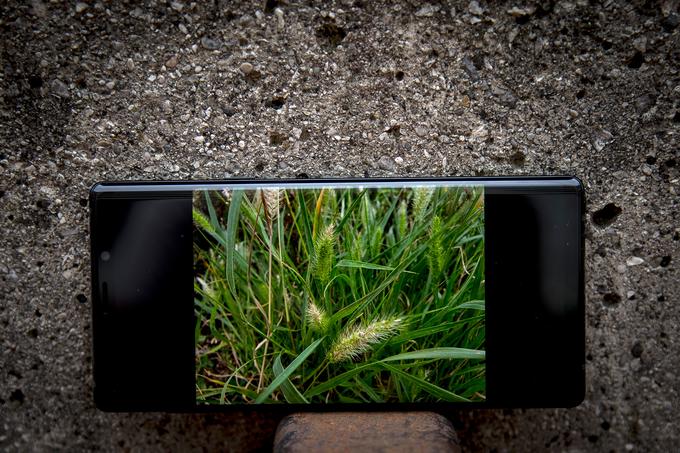 Umetna inteligenca na Note9 zna opozoriti na nekaj najpogostejših napak pri fotografiranju še takrat, ko imamo čas in možnost ponovno poskusiti narediti boljšo fotografijo. | Foto: Ana Kovač