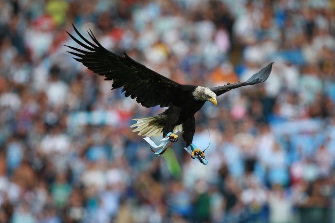 Lazio, orel | Orel je zaščitni znak Lazia, ki ga pred tekmami v Rimu v zrak pošljejo pred začetkom vsake tekme nebeško modrih. | Foto Reuters