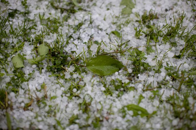 Toča | Foto Bojan Puhek