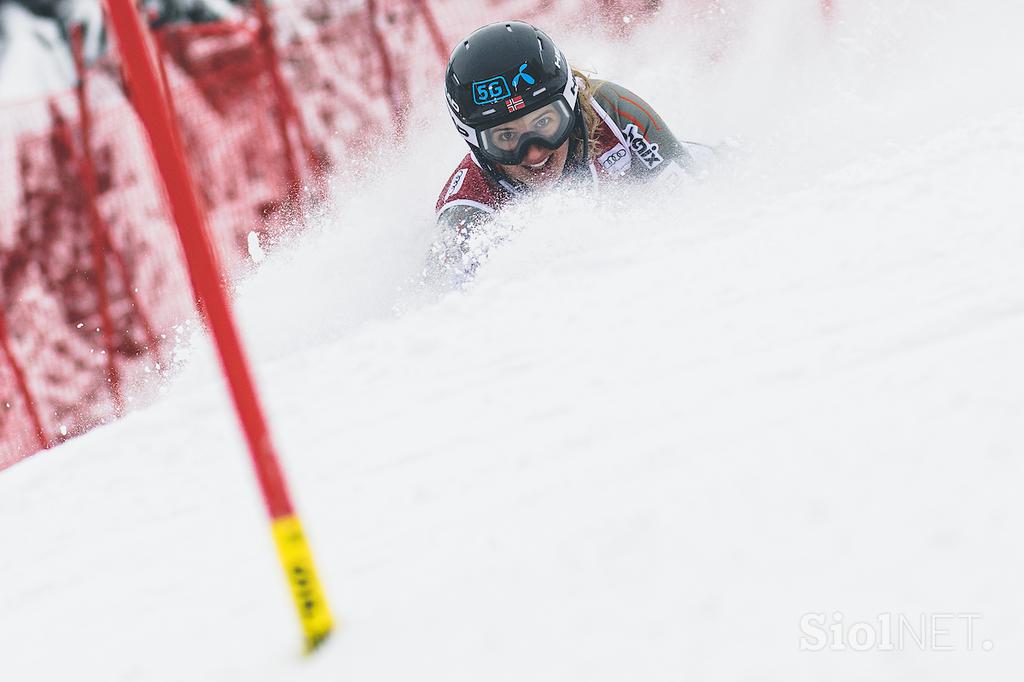 Zlata lisica, slalom