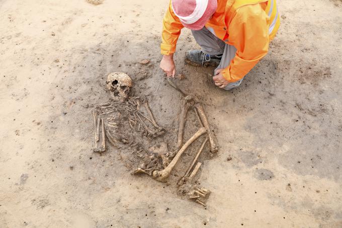 V okviru projekta HistoGenes naj bi genetsko proučili najdbe v šest tisoč grobiščih. V projektu sodelujejo znanstveniki iz ZDA, Nemčije, Avstrije in Madžarske, pa tudi iz Slovenije, Slovaške, Srbije, Češke in Romunije. Fotografija prikazuje delo arheologa na nekem nemškem bronastodobnem najdišču. | Foto: Guliverimage/Vladimir Fedorenko