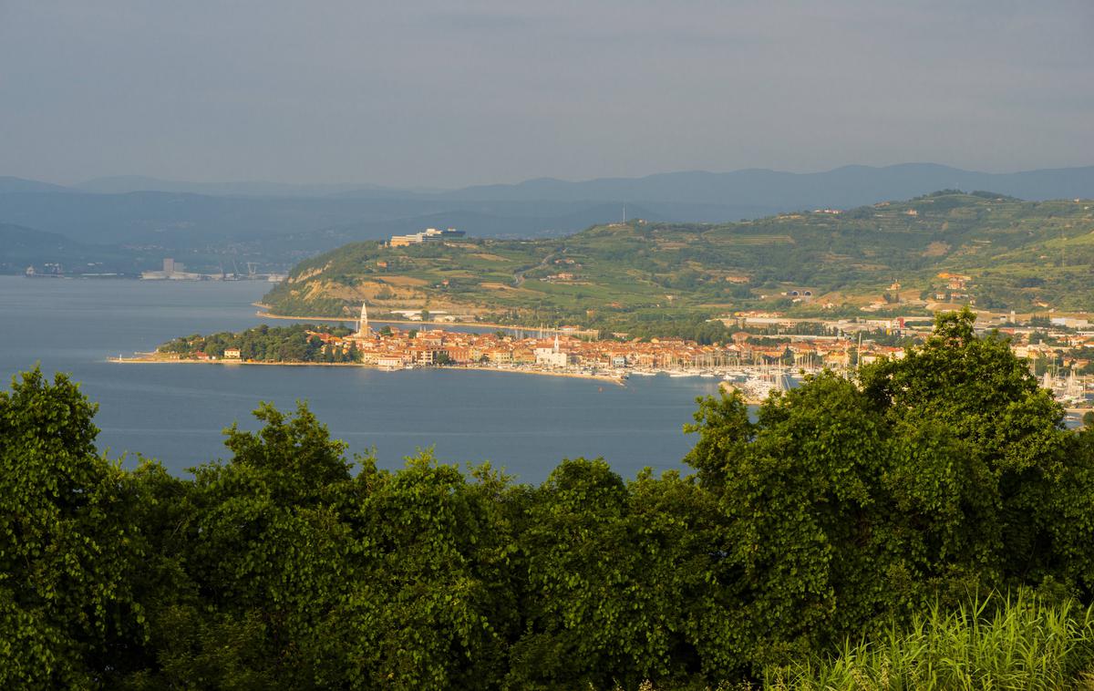 kOPER | Občina je za šest občinskih nepremičnin  prejela več kot pol milijona evrov.  | Foto Guliverimage