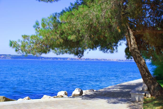 Poleg številnih plaž, na promenadi najdete tudi pestro izbiro gostinske ponudbe, klopi, kjer si lahko spočijete in uživate v razgledu na slovensko Obalo in kolesarsko stezo, po kateri lahko Portorož odkrivate še hitreje, ves čas pa vas spremlja razgled na neskončno modrino morja. | Foto: 