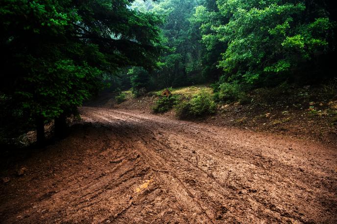 WRC reli Akropolis | Takih grških makadamskih cest nismo vajeni. A takole je bilo na sredinem popisu brzincev. | Foto Red Bull Content Pool