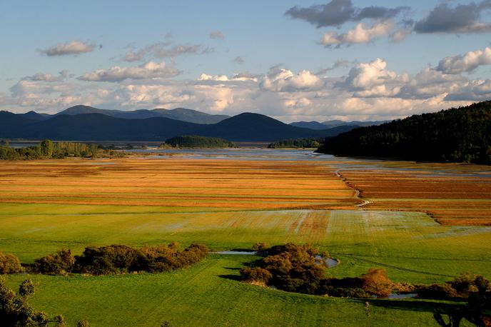 Cerkniško jezero