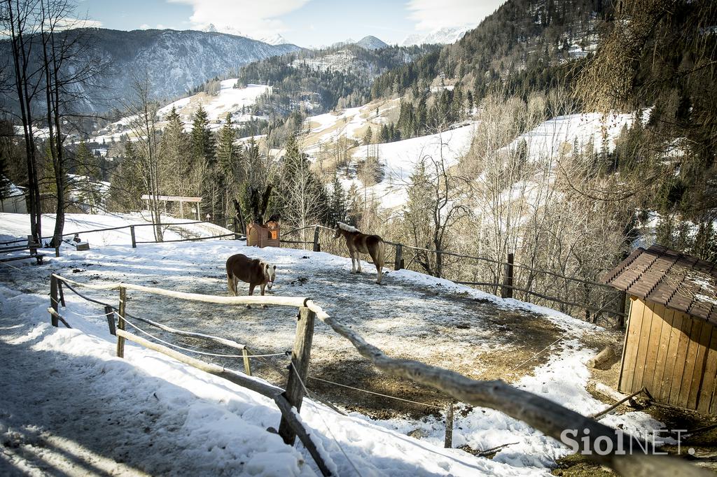 Kmetija Smolej Miha Planina pod Golico