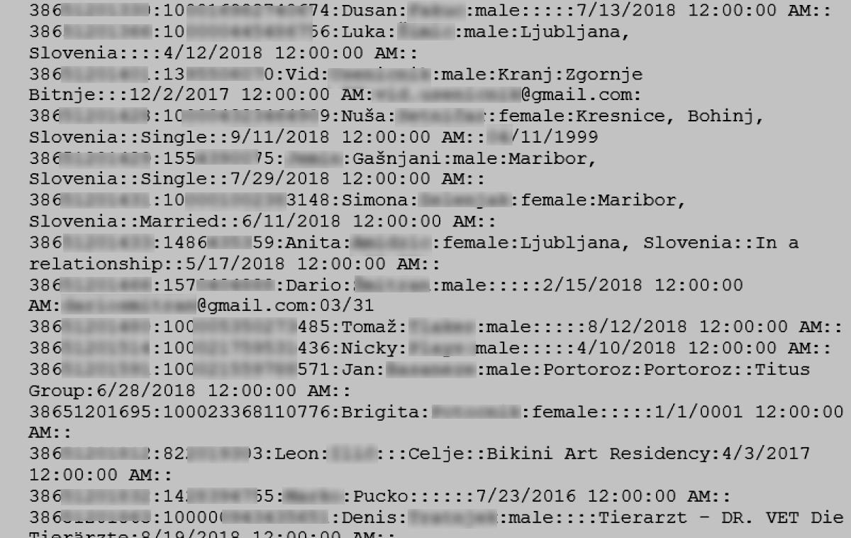 Slovenia.txt | Datoteka Slovenia.txt je pred dnevi skupaj z datotekami z imeni drugih držav splavala s hekerskih forumov in zaprtih kanalov družbenih omrežij, kot je Telegram. Včasih jo je bilo mogoče videti le proti plačilu, zdaj pa je postala javno dostopna, saj se je nekdo odločil, da so ti podatki zanj postali ničvredni. | Foto Matic Tomšič / Posnetek zaslona