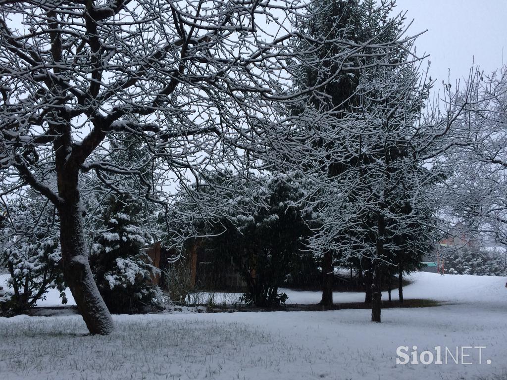 Rateče Škofja Loka