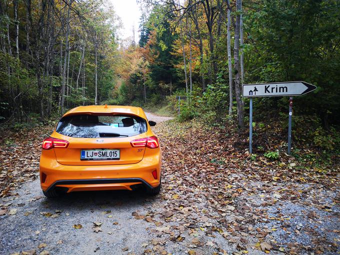 Prav Ford je ena od tistih avtomobilskih znamk, ki so se nekoč – pravzaprav podobno kot Saturnus – želele dokazati in prek zmag na dirkah svoje avtomobile narediti za objekte poželenja. | Foto: Gregor Pavšič