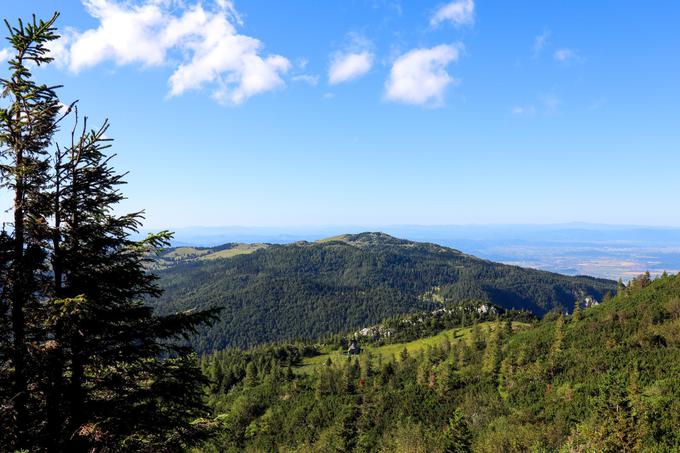 Pogled proti Veliki planini. | Foto: Matej Podgoršek