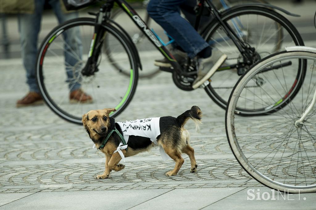 Protesti s kolesi