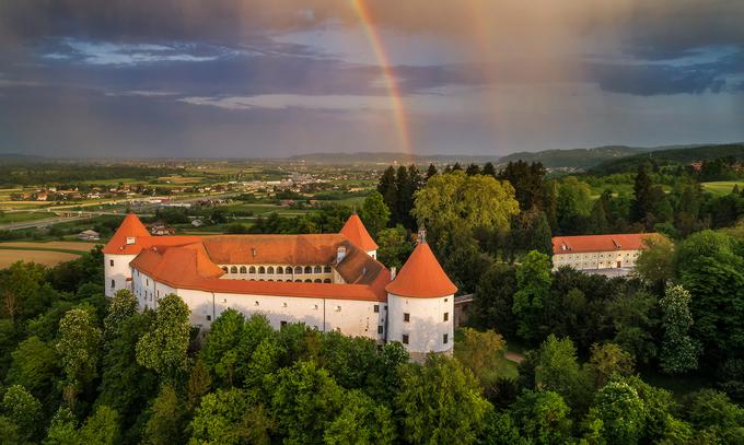 Grad Mokrice se dviga nad stoletnimi gozdovi. Grajske legende in zgodbe pričajo o razburljivih zgodovinskih dogodkih in razkošnem življenju gospode. Danes je preurejen v butični hotel, ki ponuja unikaten oddih, poseben mir in intimo. | Foto: Arhiv Terme Čatež | Foto: 