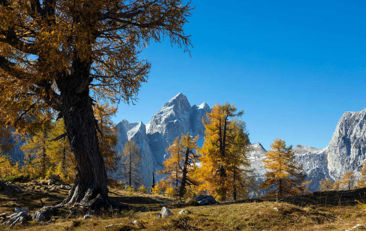 Medicum | Foto Shutterstock