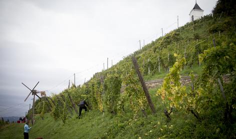 Kakšni vinarji smo v Sloveniji glede na EU