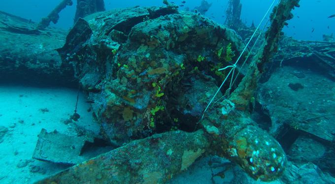 ZDA so pred leti na potapljaško odpravo na otok Vis poslale forenzike, ki so potrdili, da je letalo v bližini otočka Veliki Paržan res legendarni Tulsamerican.  |  Foto: Ameriški inštitut za navtično arheologijo | Foto: 