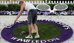 Večji denarni sklad v Wimbledonu