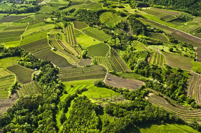 Vipavska dolina | Foto: Nea Culpa (www.slovenia.info)