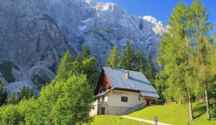 Koča na Gozdu (1226 m)