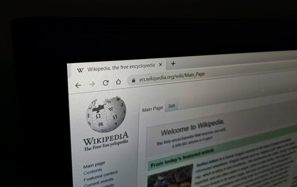 Wikipedija | Spletna enciklopedija Wikipedija je daleč najbolj prepoznavna in obiskana stran, ki gostuje na vrhnji internetni domeni .org. Nekatere druge so še wordpress.org, craigslist.org, mozilla.org, 4chan.org, thepiratebay.org. | Foto Matic Tomšič