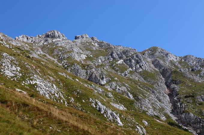 Pod južnimi pobočji Vrtače, ko se vzpenjamo z Zelenice. | Foto: Matej Podgoršek