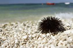 Prva pomoč na plaži