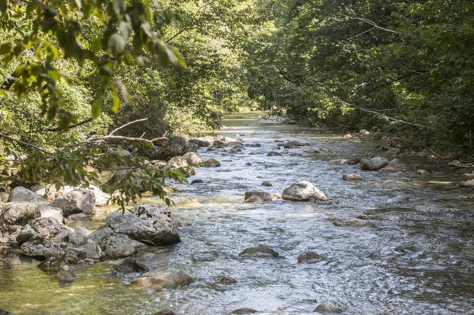 Senčne plaže in prelepi tolmuni Iškega Vintgarja so idealni za poletno osvežitev v neokrnjeni naravi, na brežinah pa je urejenih tudi nekaj prostorov za piknik. | Foto: Matej Leskovšek