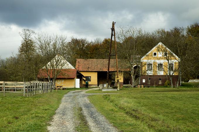 Kmetija Korenika Šalovci | Foto: Ana Kovač