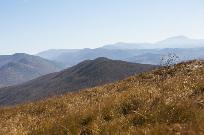 Travnata pobočja zagotovijo, da se razgled odpre še pred prihodom na vrh. | Foto: Klemen Korenjak