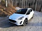 Ford fiesta active Trnovski gozd cesta