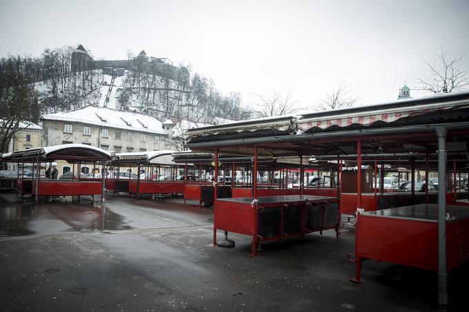 Ko so bile po ljubljanskem potresu leta kasneje odstranjene ruševine samostana oz. liceja, so uredili Vodnikov trg, kjer je svoj prostor dobila tudi ljubljanska zelenjavna tržnica. | Foto: Ana Kovač