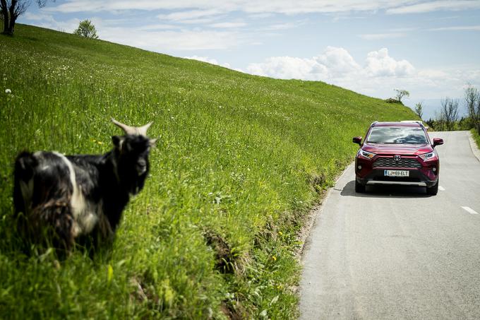 RAV4 je vir samozavesti v vsaki situaciji, od hitre vožnje po avtocesti do šviganja po mestnih središčih, kjer vladajo emisijske omejitve. | Foto: Ana Kovač