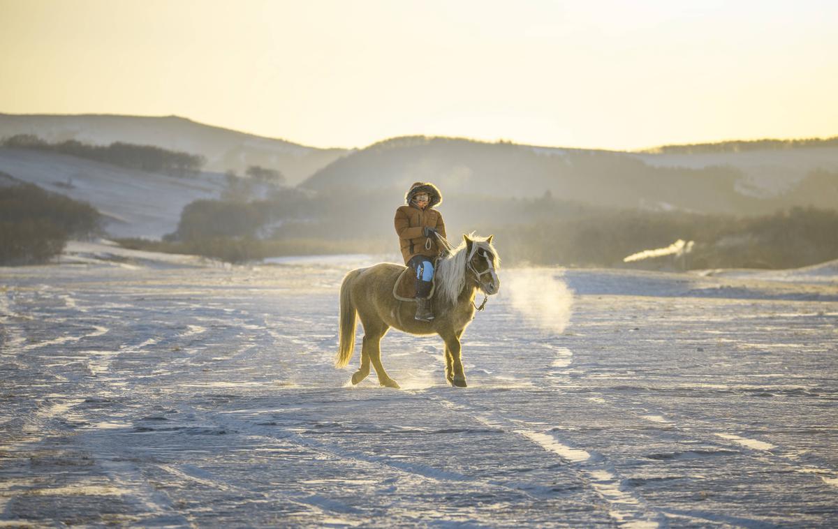 Mongolija | "Odlično narejen film, skorajda kot igrani film. Odličen scenarij, lepa pripoved, ki daje misliti, brez odvečnega moraliziranja. Odličen preplet med lokalnimi ljudmi in njihovim znanjem ter znanstvenim pristopom. Ustvarjalci so uspeli najti odličen primer za vsesplošne probleme človeštva. Film daje gledalcu ob koncu občutek, da je v Mongoliji že bil," je v obrazložitvi zapisala žirija. | Foto Guliverimage